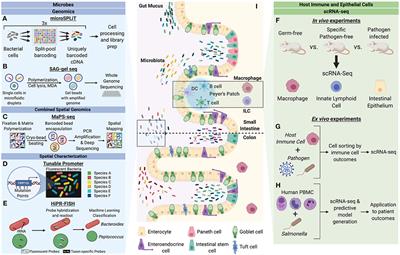 Host-Microbiome Interactions in the Era of Single-Cell Biology